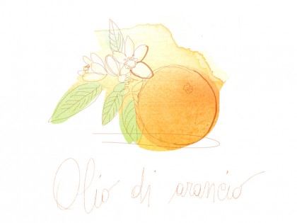 Illustration, watercolor, orange fruit and flower