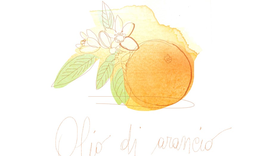 Illustration, watercolor, orange fruit and flower