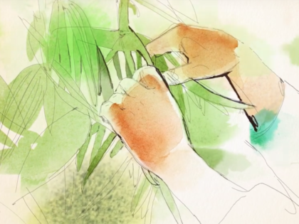 Watercolor animation, Alessandra Scandella