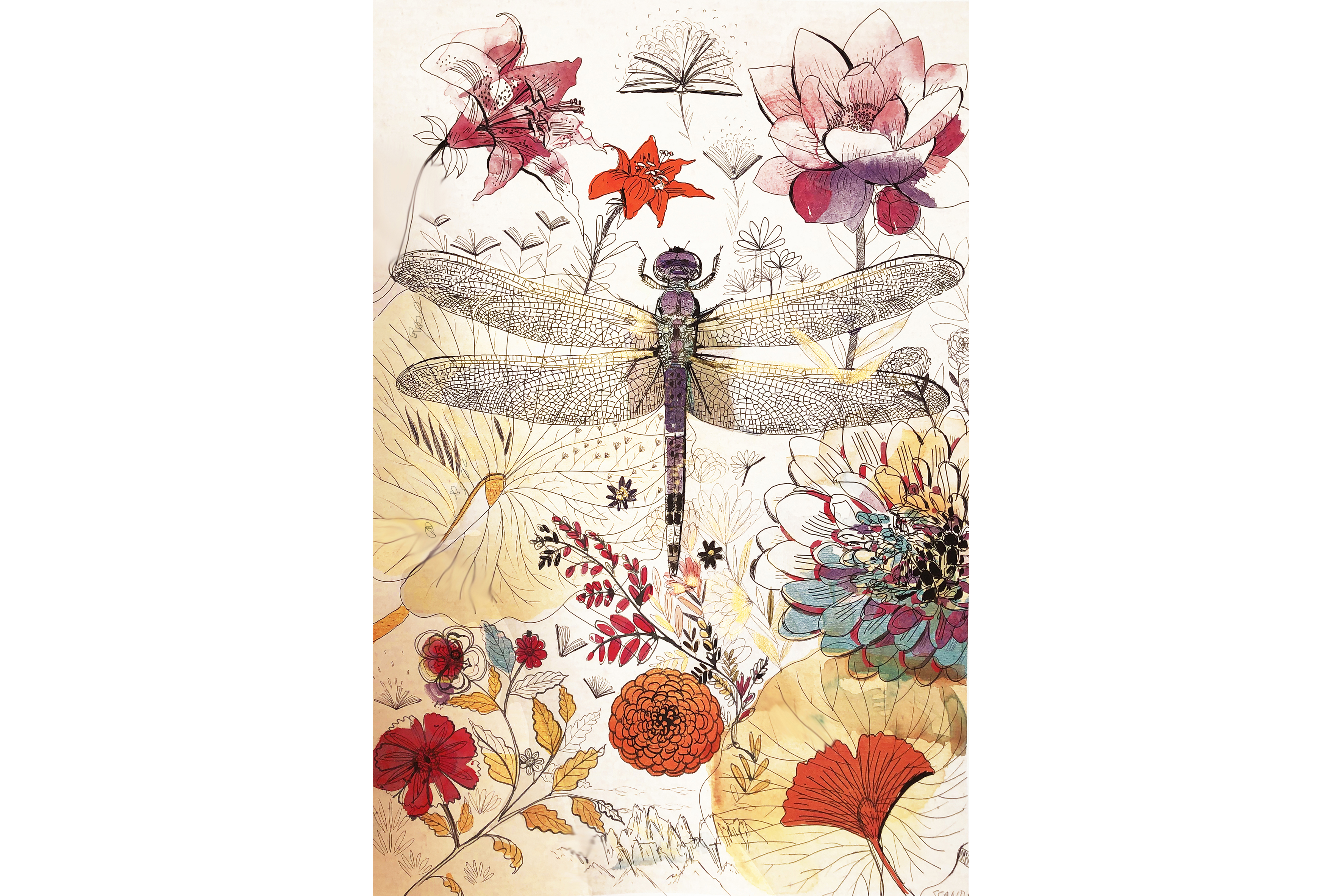 Insects, watercolor illustration,1,nature and flower, Alessandra Scandella copia
