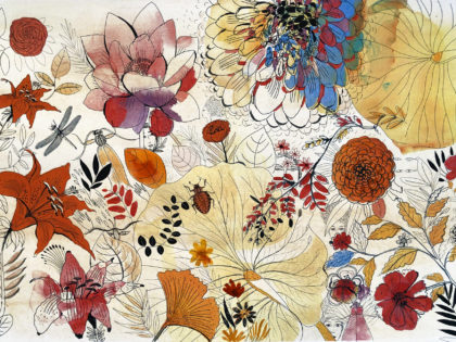 Watercolor illustration, flowers, 1,Alessandra Scandella
